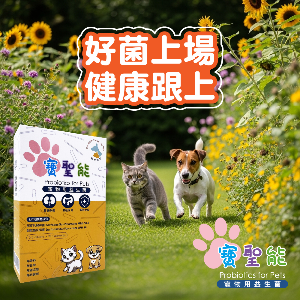 寶聖能 寵物用益生菌