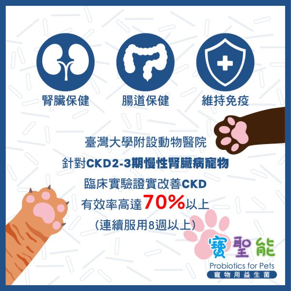 寶聖能 寵物用益生菌