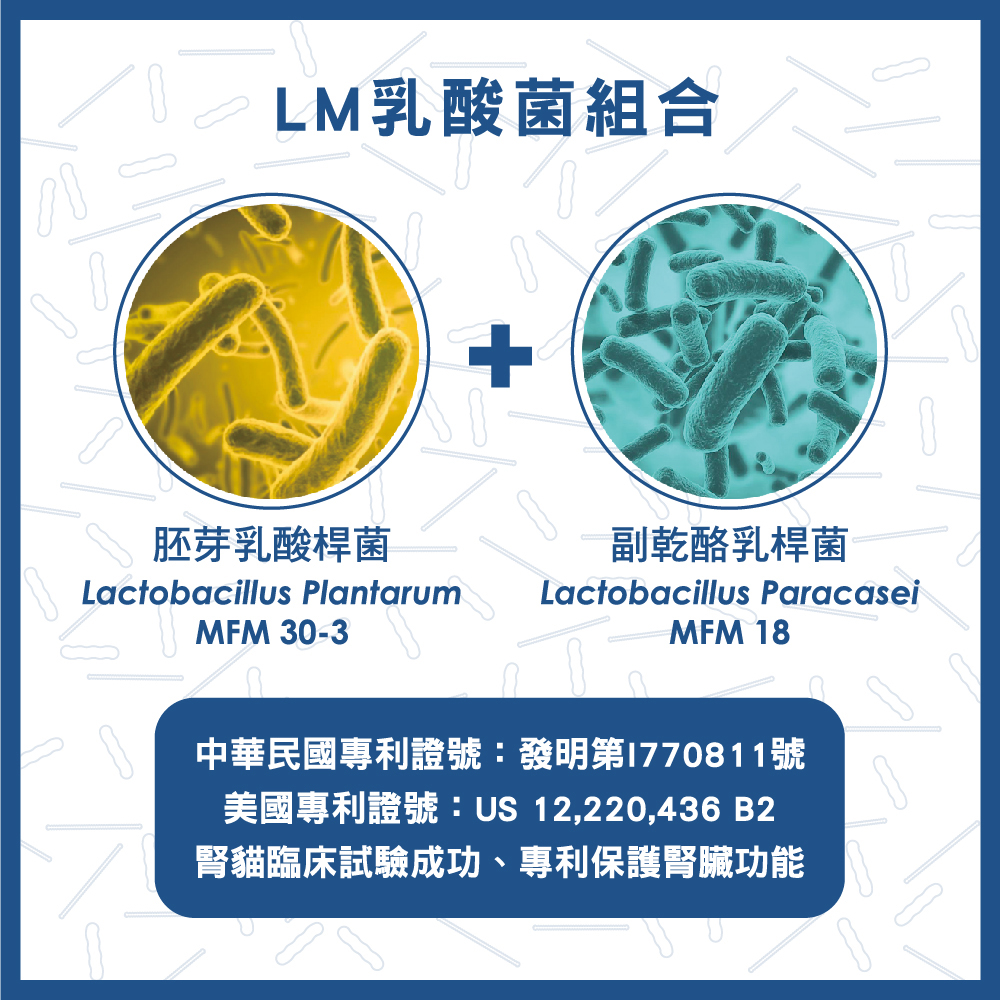 寶聖能 寵物用益生菌