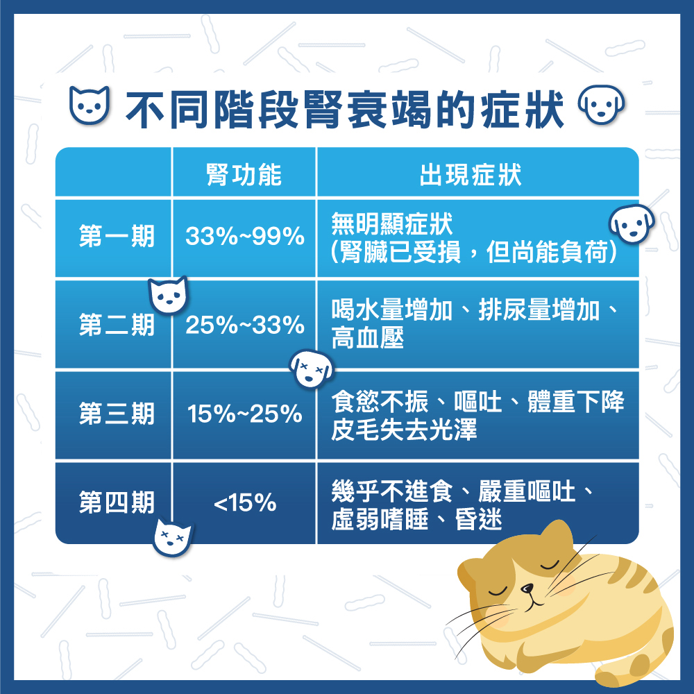 寶聖能 寵物用益生菌